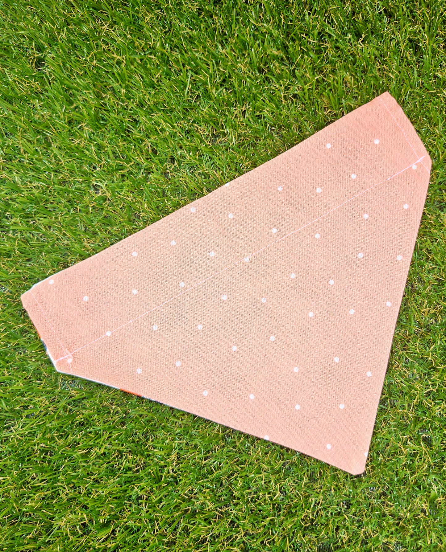 Peaches & Oranges Pet Bandana
