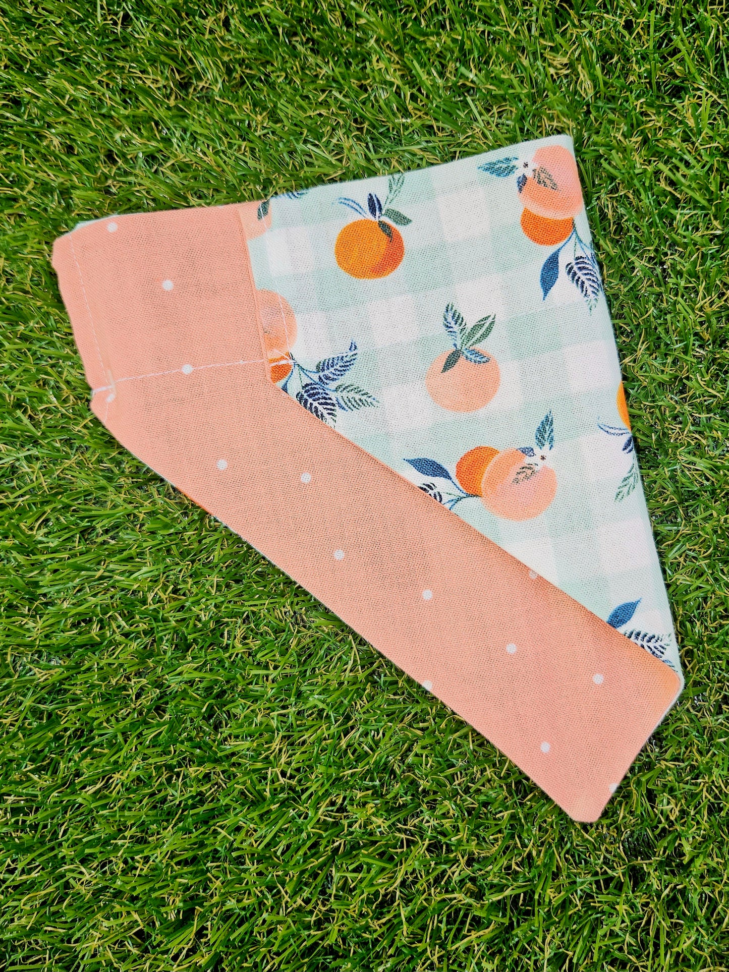 Peaches & Oranges Pet Bandana