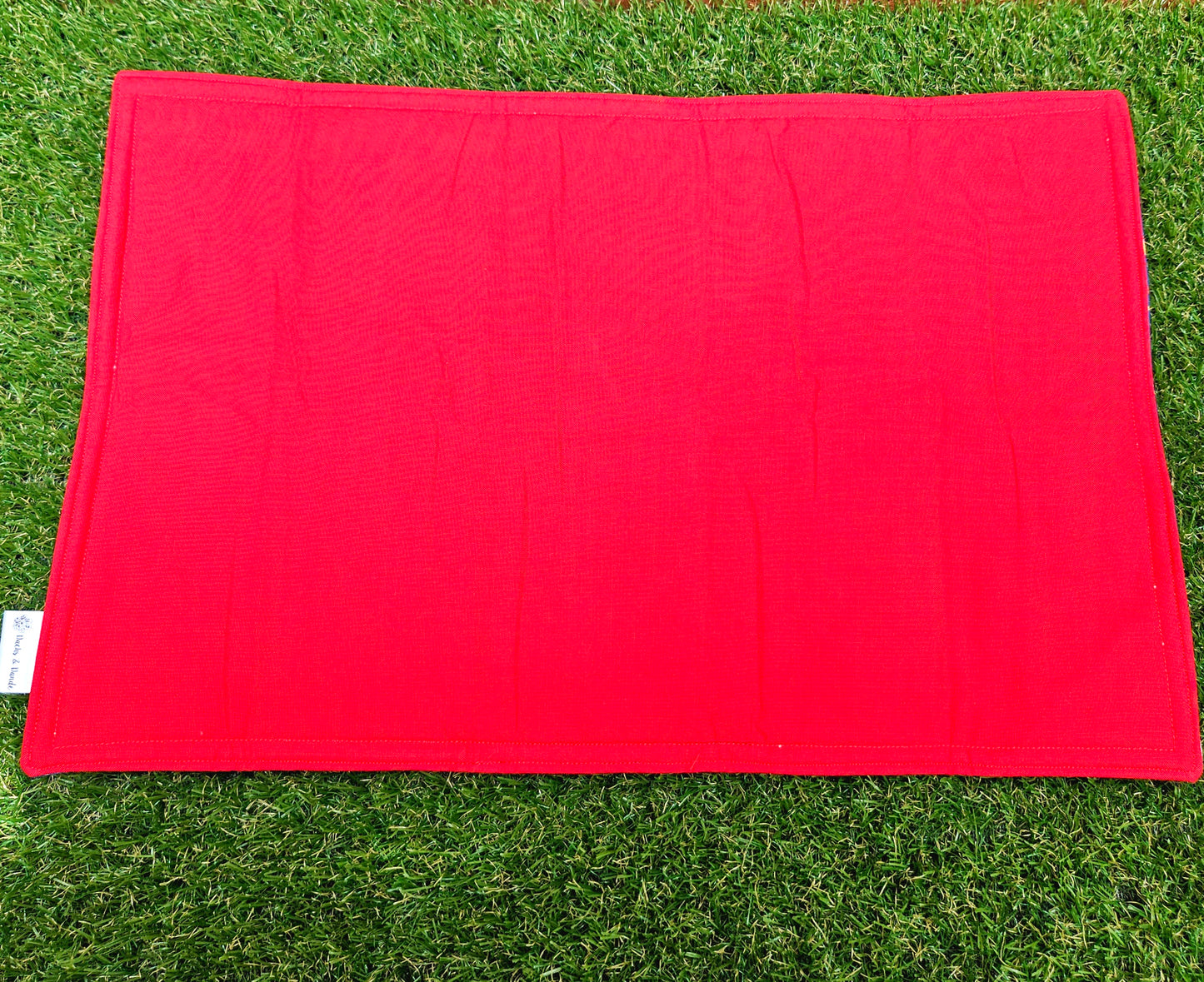Fishing Lure Pet Placemat