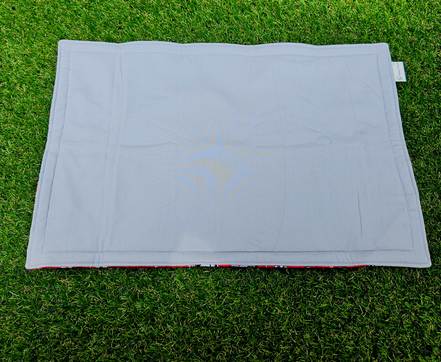 Dog Football Pet Placemat