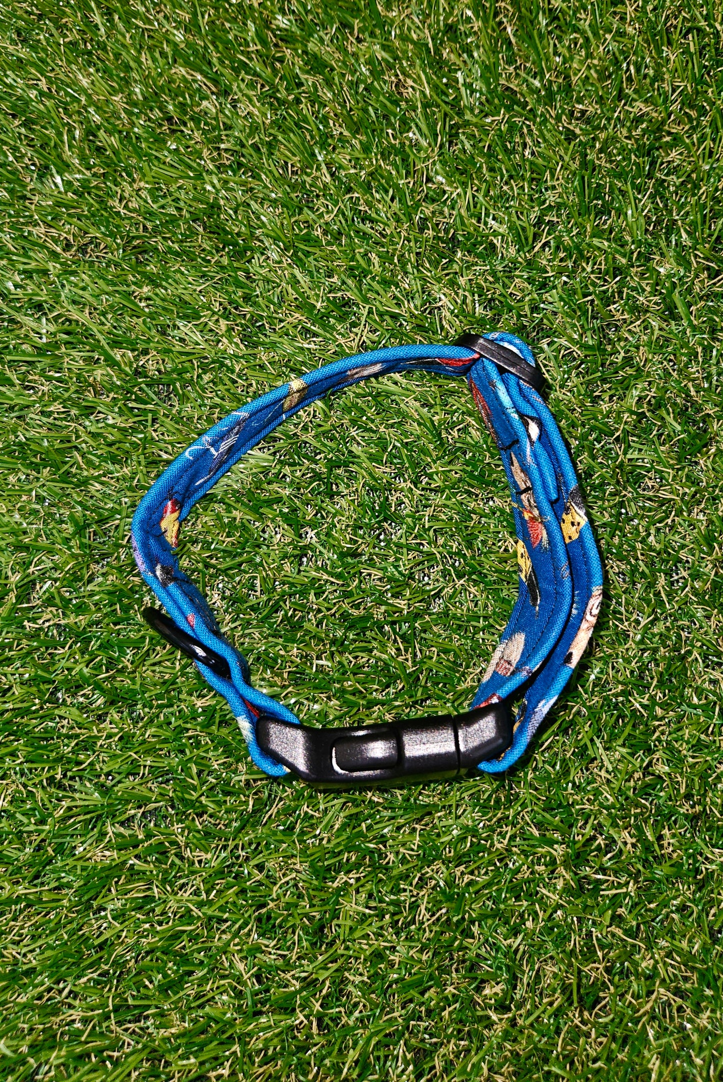 Fishing Lure Collar
