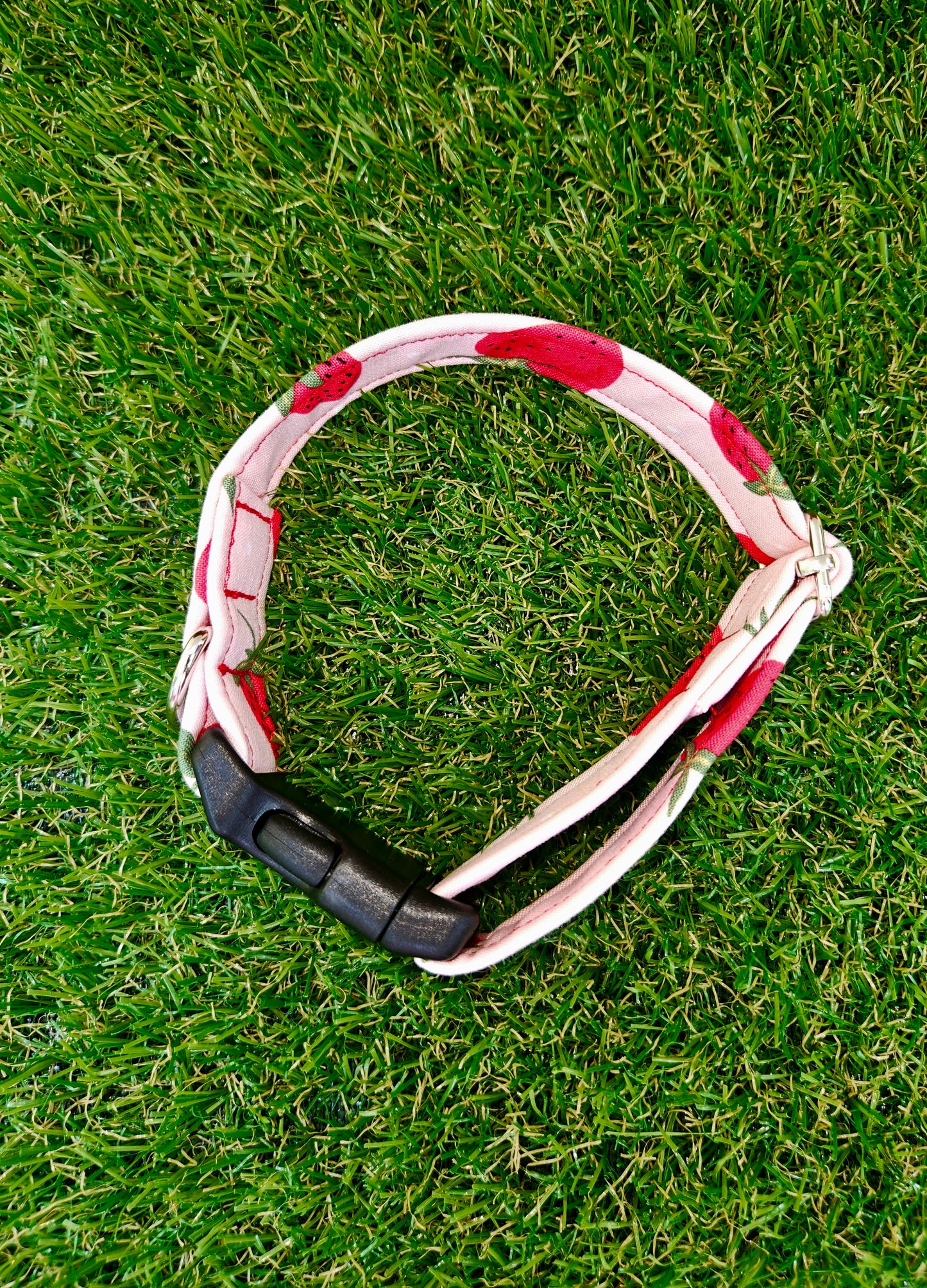 Strawberry Collar