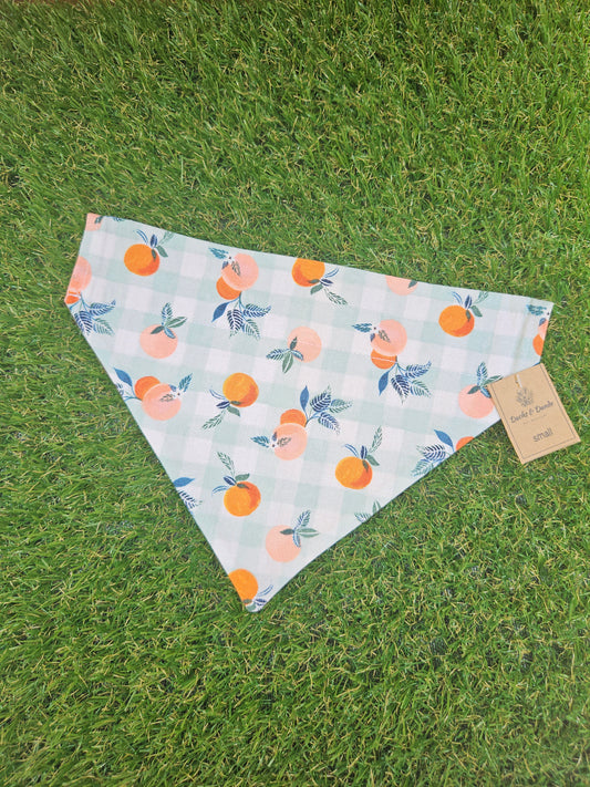 Peaches & Oranges Pet Bandana