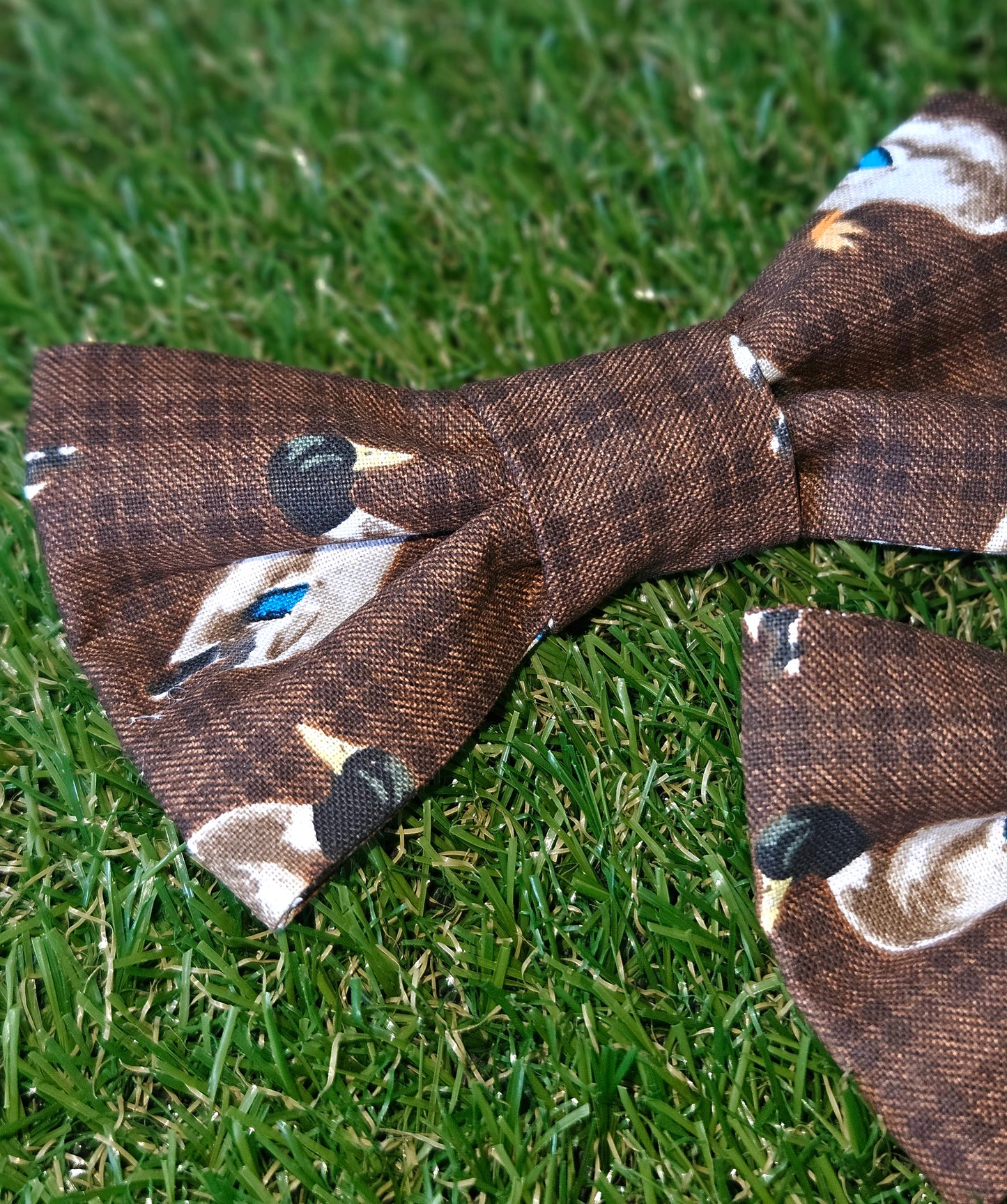 Mallard Duck Bowtie