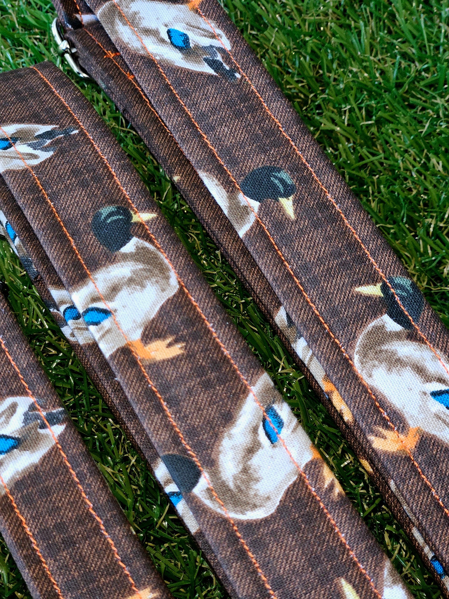 Mallard Duck Collar