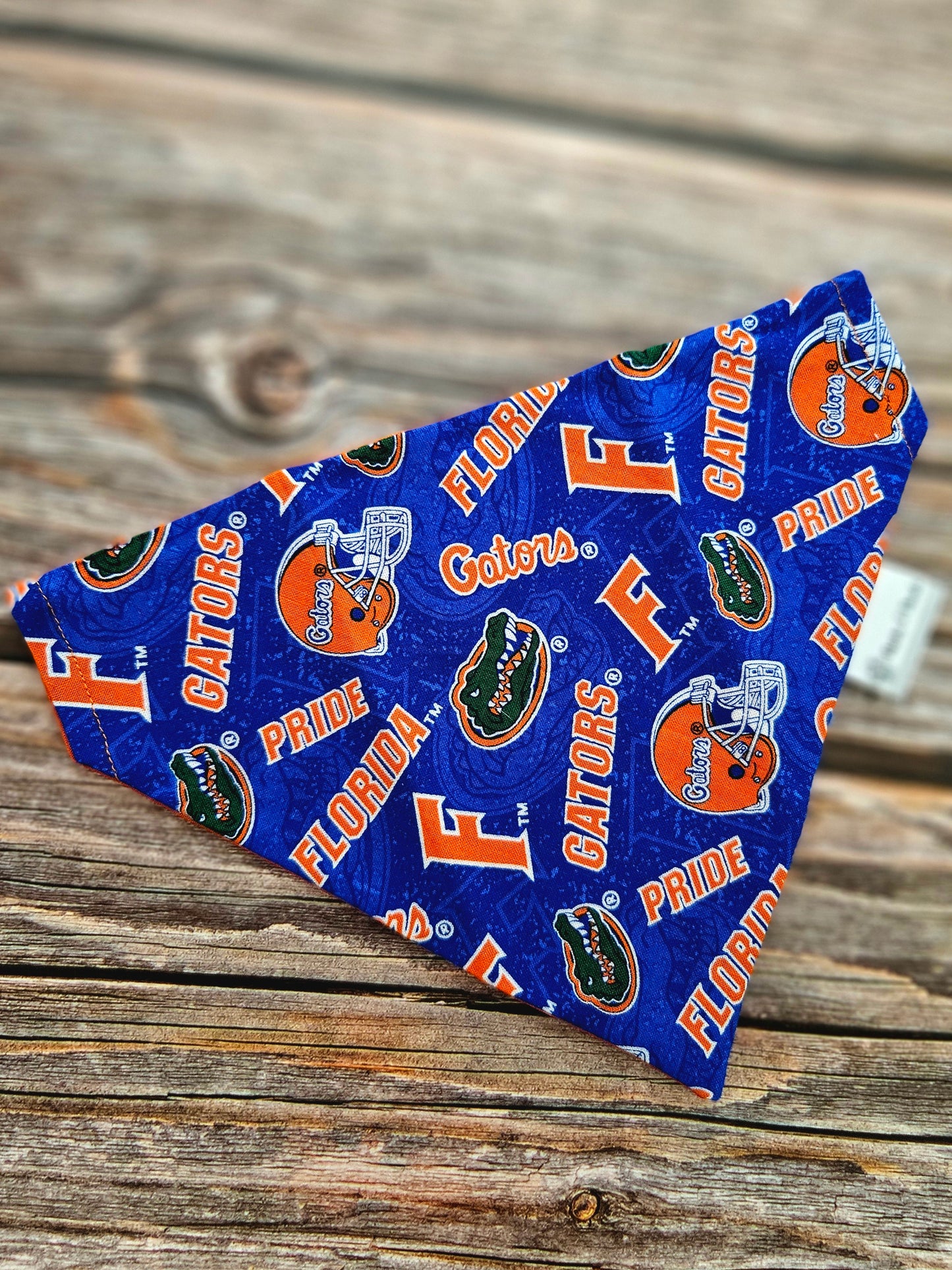 Gators Bandana